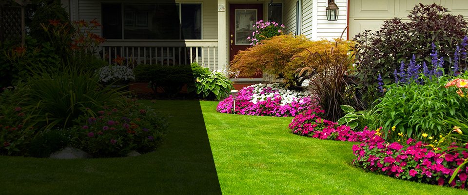 Gonzales Landscapers
